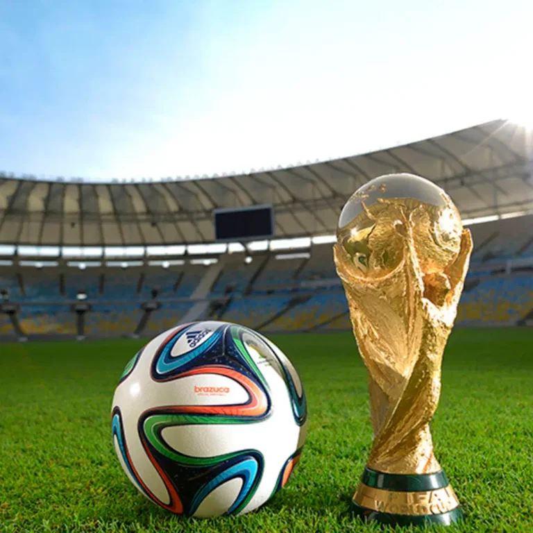 大衛詹姆斯,得分,林庭謙收获,开云体育,开云体育官网,开云体育app,开云体育app下载