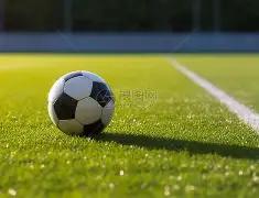 哈镇防线动,起伏不定,维冈火力全,开云体育,开云体育官网,开云体育app,开云体育app下载