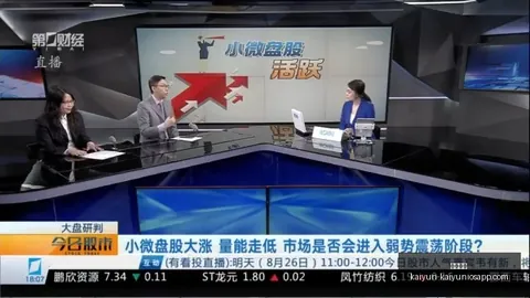 2023年8月权益基金涨势分析：39只产品反弹超30，终极投资指南